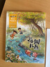 金波四季童话：花瓣儿鱼、神奇的小银蛇等 （注音美绘版 套装共4册） 儿童文学经典读物 课外阅读 课外书 一升二 小升初衔接 中国儿童文学大师的经典作品 低年级孩子的文学启蒙读本 文学经典读本 实拍图