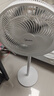 美的（Midea） 电风扇 家用风扇7叶落地扇立式轻音节能大风量电扇台扇迷你扇台立两用转页扇空气循环扇安静低音 店长推荐丨7叶劲风 百万单品 家用落地扇 实拍图