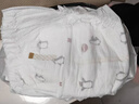 好奇（Huggies）治愈之柔小企鹅拉拉裤XXL24片(15kg以上)尿不湿【奇迹奢柔】 实拍图