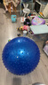TaTanice早教大龙球儿童感统训练器材家用瑜伽球幼儿园户外玩具生日礼物 实拍图