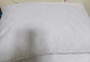 洁丽雅（Grace）纤维枕星级酒店枕头枕芯46*72cm一对装（2只装） 实拍图