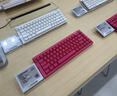 迈从（MCHOSE）Ace 68/60Pro磁轴键盘 RT电竞游戏客制化机械有线连接全键热插拔双驱动无畏契约 Ace68 电竞版 浆果红 冰犀磁轴 实拍图