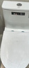 四季沐歌（MICOE）普通马桶家用抗菌老旧房换装万能坑距免移位器虹吸式坐便器249P 实拍图