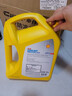 壳牌（Shell）有机长效汽车防冻液发动机冷却液  -45℃ 4kg（红色）养车保养 实拍图