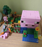 乐高（LEGO）积木我的世界21268 猪宝宝房屋男女孩儿童玩具生日礼物装饰摆件 实拍图