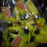 【正宗0添加】秋梨膏棒棒糖儿童节网红小食品礼物休闲零食 秋梨膏棒棒糖60支 实拍图