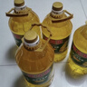 金龙鱼 食用油 非转基因 压榨 一级 纯正玉米油4L*4箱装 实拍图