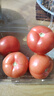 番茄约500g 实拍图