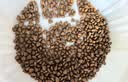 KINGJERRY金吉瑞幼猫专用粮1-12月幼猫奶糕猫粮牛初乳益生元蛋黄猫粮1.25kg 鸡肉味幼猫6包共15斤囤货装 实拍图