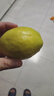 京鲜生 新疆库尔勒香梨 净重4.5斤 单果140g+ 生鲜水果 实拍图
