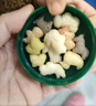 英氏（Engnice）婴幼儿手指泡芙宝宝零食五彩动物乐园泡芙条什锦果果味罐装32g 实拍图