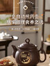 荣事达（Royalstar）【京仓发货】全自动中药煎药壶紫砂熬药壶中药锅家用煲汤陶瓷砂锅大容量煮药罐一体电药锅 3L 【次日达+升级款长嘴+普通自动款+煎好鸣音】 实拍图