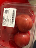 番茄约500g 实拍图