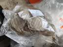 红薯粉皮纯手工无添加农家特产粉皮长条宽粉凉皮凉拌菜干货羊肚菌 精品干货纯手工红薯粉皮【圆形】 精选500克【约150片】 实拍图