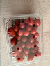 红千禧小番茄1kg 实拍图