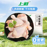 上鲜鸡琵琶腿 净重6斤 冷冻 炸鸡腿卤鸡腿烧烤鸡腿代餐速食 清真食品 实拍图