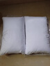 富安娜枕头芯纯棉软枕芯五星级酒店枕头一对装纤维枕中枕两个74*48cm 实拍图
