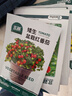 北蔬菜种子大全黄瓜西红柿草莓生菜辣椒种籽 [家庭种]13种蔬菜种子 实拍图