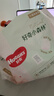 好奇（Huggies）小森林拉拉裤XL32+2片(12-17kg)尿不湿心钻【透氧顶配更低敏】 实拍图