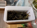崂茗绿茶崂山扁茶青岛崂山绿茶叶2026新茶浓香型150g礼盒送礼山东特产 实拍图