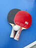 双鱼乒乓球拍横拍单只 5星五星纯木成品拍 5D-C长柄 赠3球 实拍图