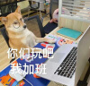 得力（deli） 分页文件夹插页袋A4资料册合同文件收纳办公用品产检孕检学生卷子试卷收纳袋学习文具 蓝色80页(3本装) 实拍图