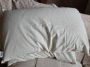 京东京造荞荞枕加大款 100%荞麦壳填充透气高度可调花草枕头单只装 实拍图