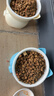 憨憨乐园猫碗陶瓷猫粮双碗斜口狗碗狗盆狗粮宠物幼猫咪吃饭食盆喝水喂食 实拍图