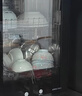 康宝（Canbo）消毒柜家用小型消毒碗柜高温立式迷你台式餐具碗筷收纳柜厨房消毒机【政府补贴】XDR53-TVC1 实拍图