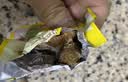 水益农板栗仁即食独立小包装炒油甘栗子仁熟食去壳坚果休闲解馋小吃零食 尝鲜【约25g*5包】即食板栗仁 实拍图
