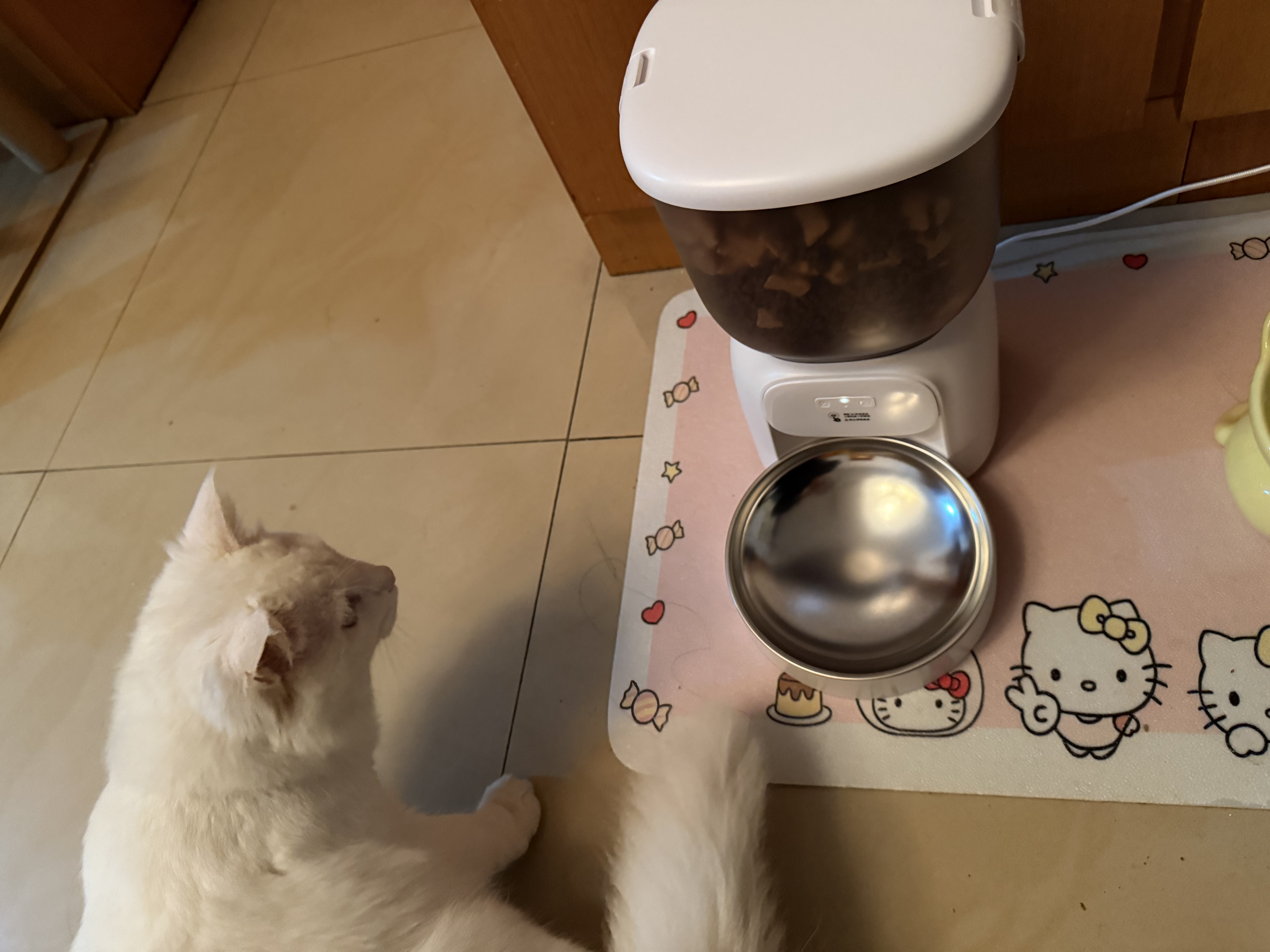 玲珑猫宠物智能可视自动喂食器 猫碗猫粮狗粮定时定量猫咪自动投食器 4L自动版【家里没网络选这款】 实拍图