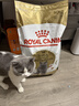 皇家猫粮 英短成猫粮 BS34 通用粮 12月以上 10KG 实拍图