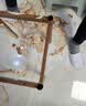 全品屋餐桌椅组合家用饭桌子小户型简约公寓快餐出租商用长方形电脑桌 胡桃木色 120cm 【宽80CM】一桌二椅 实拍图