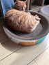 疯狂的主人圆形猫抓板窝耐磨不掉屑猫窝一体猫咪抓盆超大号抓不烂猫爪板耐抓 实拍图