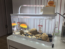 阔庭（KUOTING）新款古法鱼缸一体缸自循环免换水懒人带灯生态高清造景金鱼缸白色 实拍图