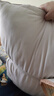 洁丽雅（Grace）枕头枕芯一对装星级酒店成人枕芯高弹纤维枕 白色2只装 45x70cm 实拍图