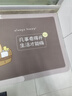 艾杰普浴室脚垫卫生间地垫吸水防滑垫厕所门口垫子速干入户脚垫50*80cm 实拍图