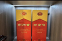 剑南春水晶剑 52度 558ml*2瓶 双支礼盒 浓香型白酒 年货送礼 实拍图