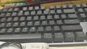 罗技（Logitech）K845机械键盘 有线键盘 办公电脑打字键盘  电竞游戏发光全尺寸个性化定制键帽 K845红轴+黑莓透光键帽 实拍图