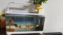 阔庭（KUOTING）新款古法鱼缸一体缸自循环免换水懒人带灯生态高清造景金鱼缸白色 实拍图
