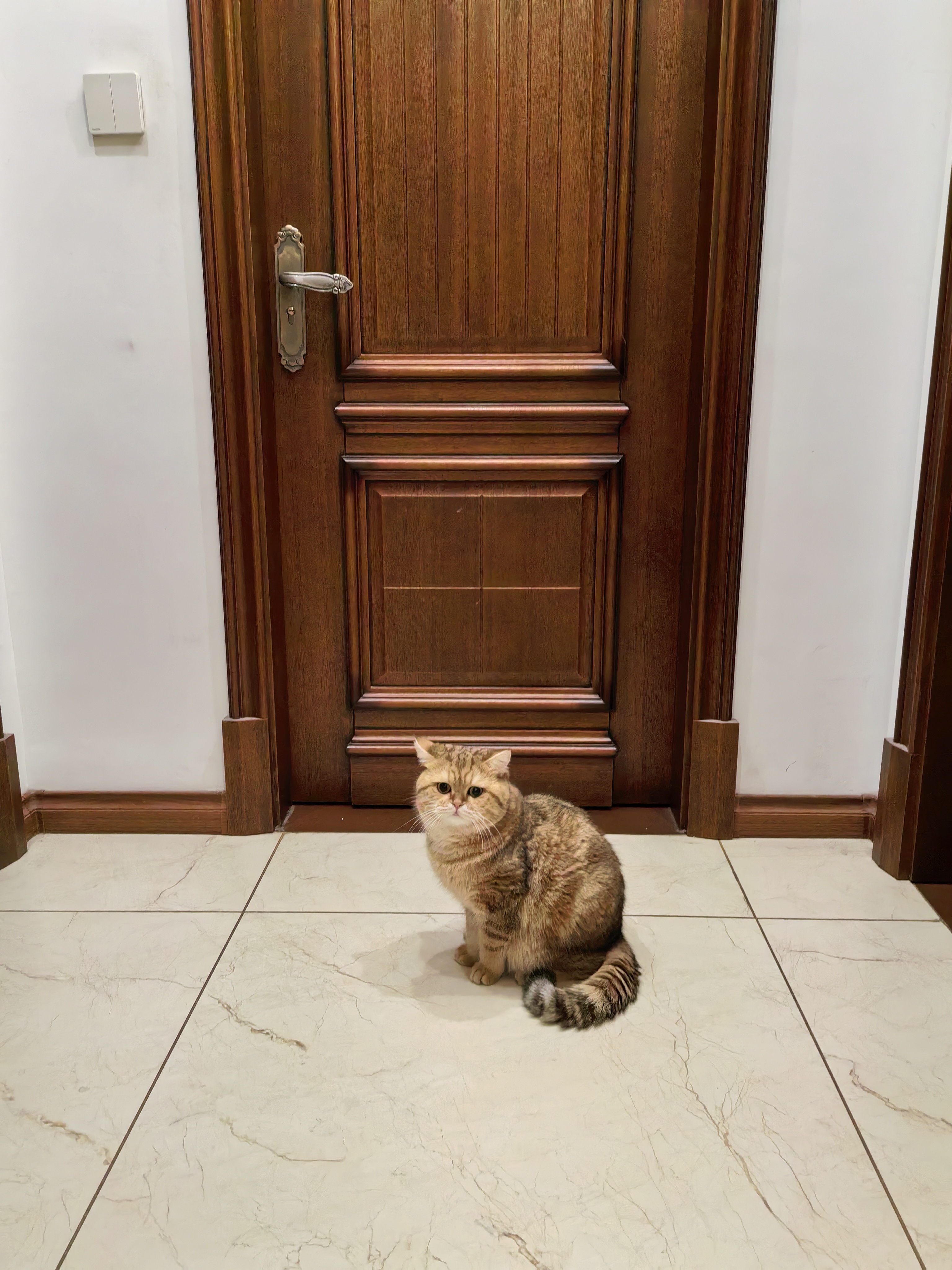 圆舍（Yumsir）恒温杯垫茶水杯加热杯垫可调温茶壶保温底座99度暖牛奶温茶器家用 【低功率】保温杯垫+450ml玻璃杯 实拍图