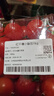 红千禧小番茄1kg 实拍图