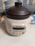 苏泊尔（SUPOR）电炖锅 电炖盅 电砂锅 煲汤锅炖汤锅 燕窝炖盅 煮粥锅 电煮锅 婴儿辅食锅 紫陶 DG30YC816多功能锅 实拍图