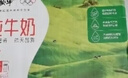 蒙牛全脂纯牛奶250ml*24盒 年货礼盒 电商定制 新老包装随机发货 实拍图