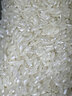 十月稻田 25年新米 特等五常大米 绿色食品 10斤(溯源 原粮稻花香2号 5kg) 实拍图