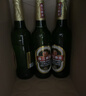 珠江啤酒（PEARL RIVER）12度 经典老珠江啤酒 600ml*12瓶 整箱装 京东自营 实拍图