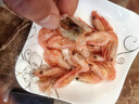 鲜京采带籽北极甜虾 净重3斤/盒 135-195只 解冻即食 年货礼盒 实拍图