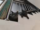 pidan猫砂 木薯猫砂混合膨润土猫砂 快速吸水易结团 2.4kg款8包装 实拍图