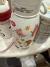 babycare儿童保温杯婴儿宝宝学饮杯吸管水杯水壶不锈钢300ml-新旧款混发 实拍图
