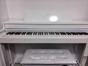 特伦斯电钢琴88键重锤专业电子钢琴成人儿童家用立式电钢E55 烤漆白色【演奏级】 实拍图